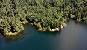 The shoreline of the East side from above