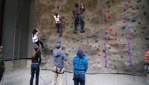 Nathan's Wall Climbers