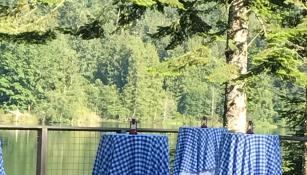 Lakeside Party 1
